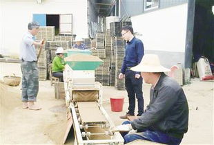 安慶日報推廣工廠化育秧軟件 助力農(nóng)業(yè)現(xiàn)代化轉(zhuǎn)型